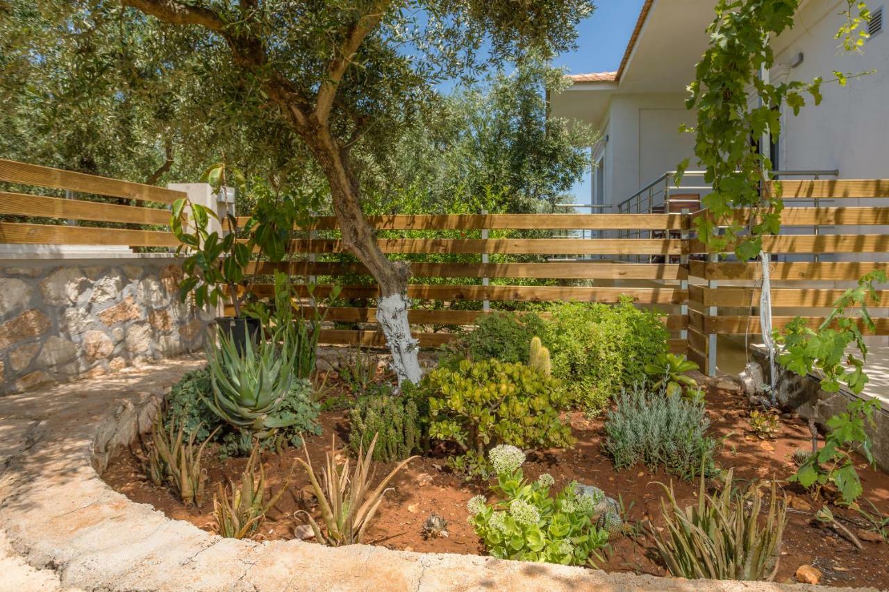Villa Serenity Agia Marina  Exterior foto
